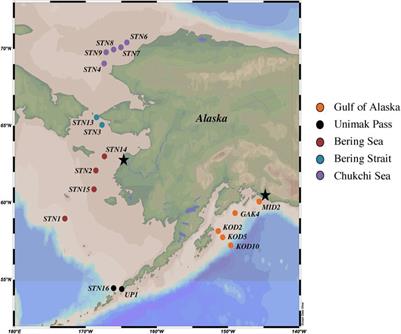 Linked mercury methylation and nitrification across oxic subpolar regions